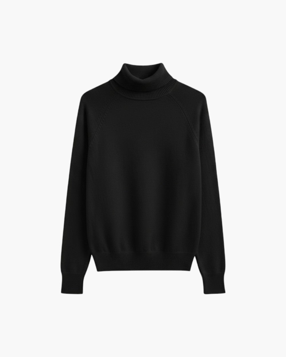 Regular Fit Turtleneck Sweater Ribbed Trims