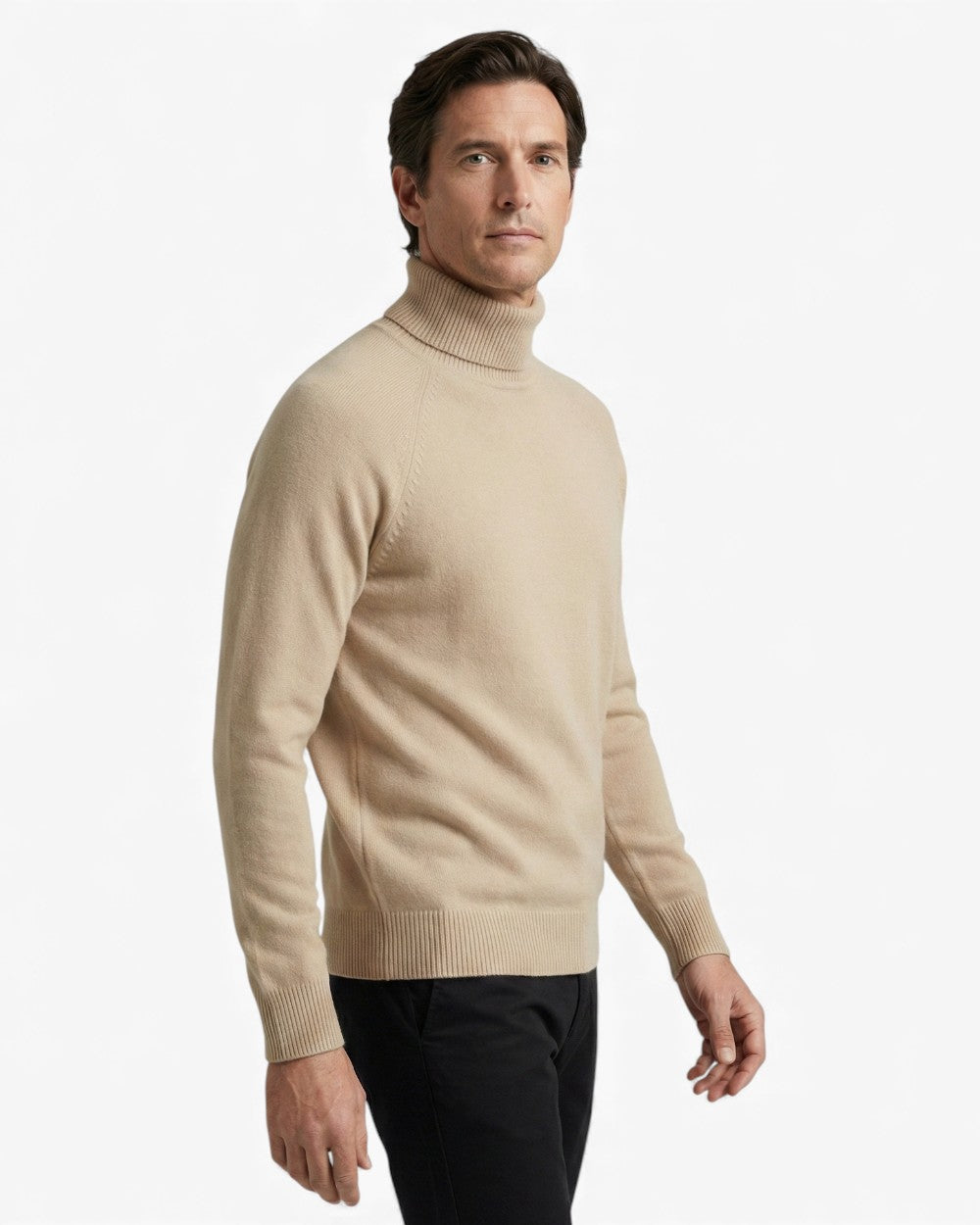 Regular Fit Turtleneck Sweater Ribbed Trims