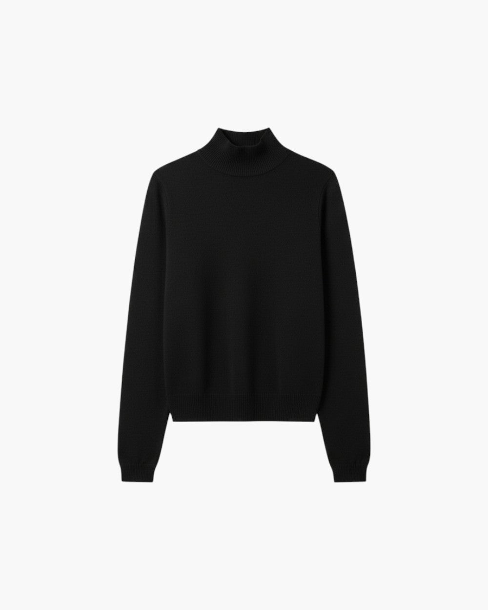 Regular Fit Turtleneck Sweater