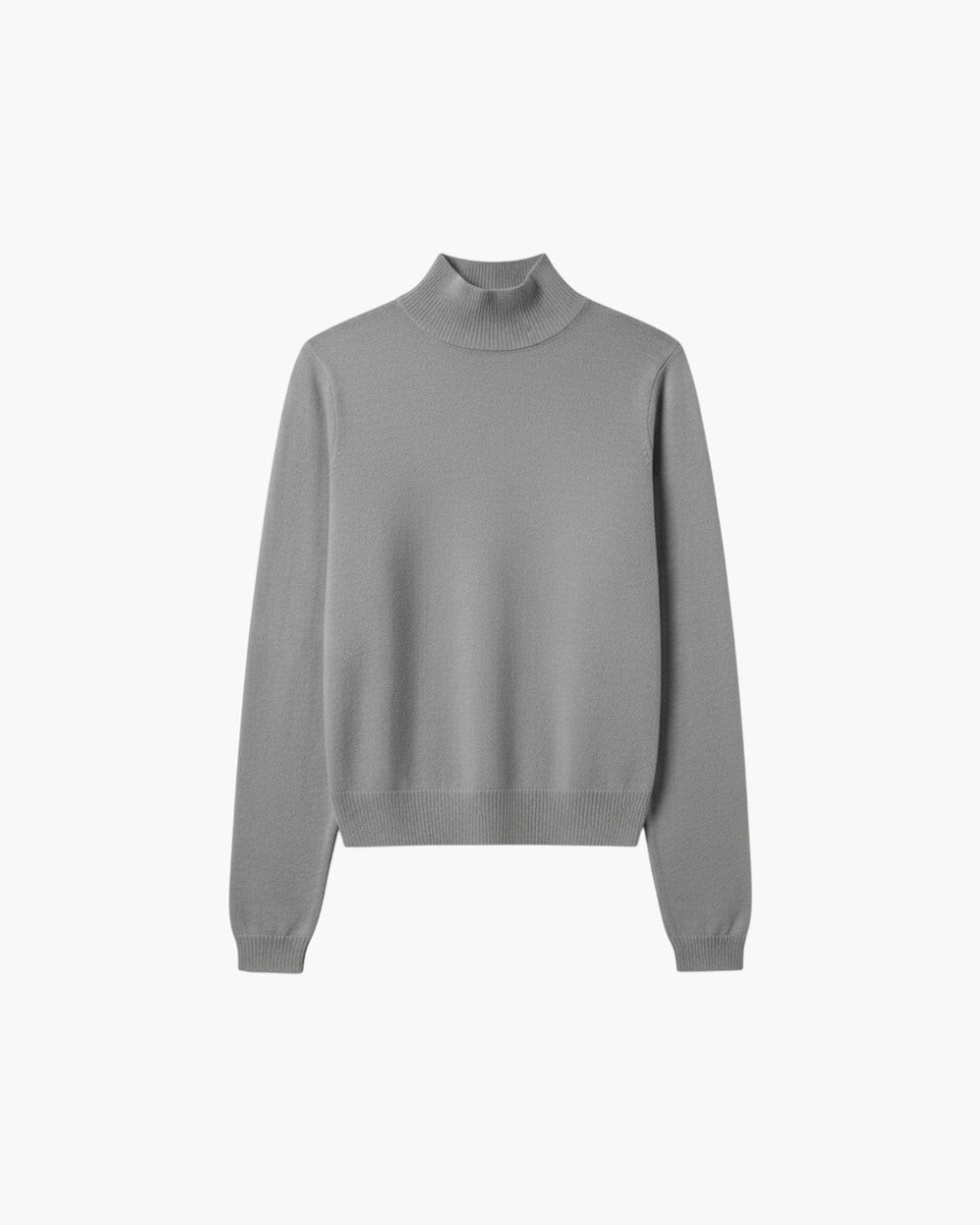Regular Fit Turtleneck Sweater