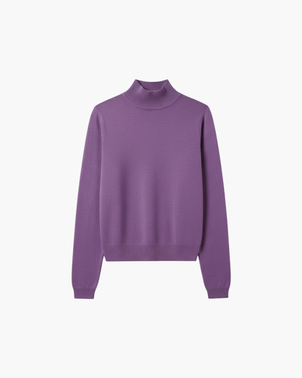 Regular Fit Turtleneck Sweater